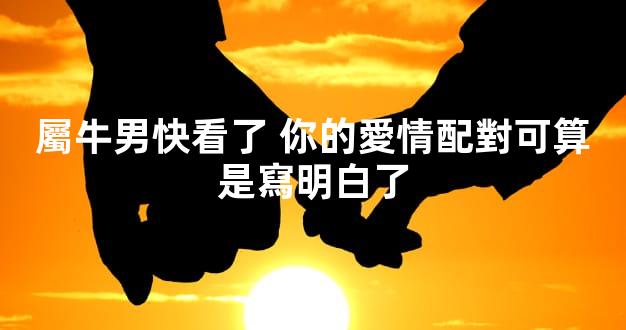 屬牛男快看了 你的愛情配對可算是寫明白了